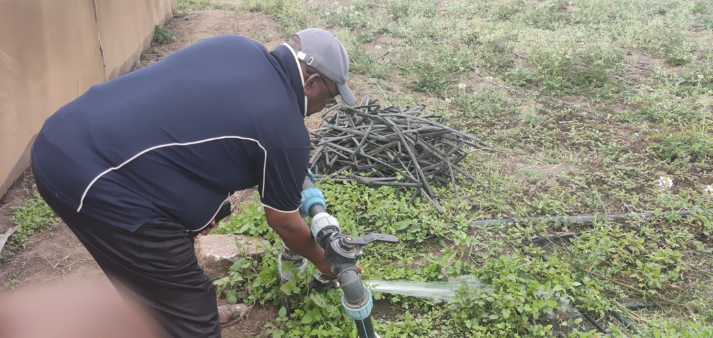 Sustainable Development & Climate Action